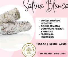 Salvia Blanca